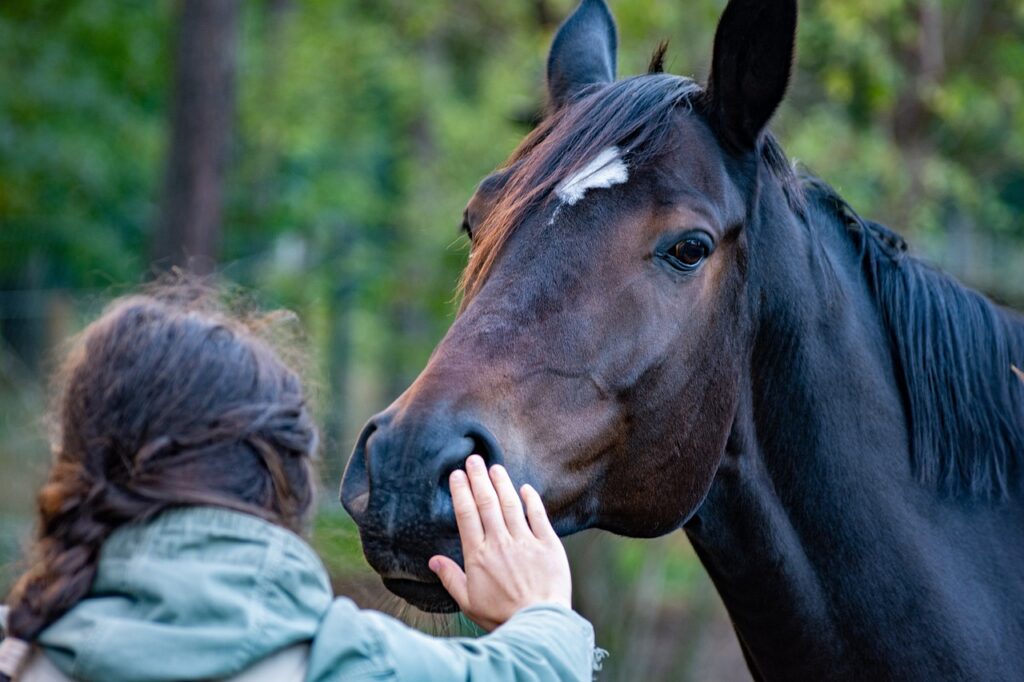 Frau beruhigt nervöses Pferd