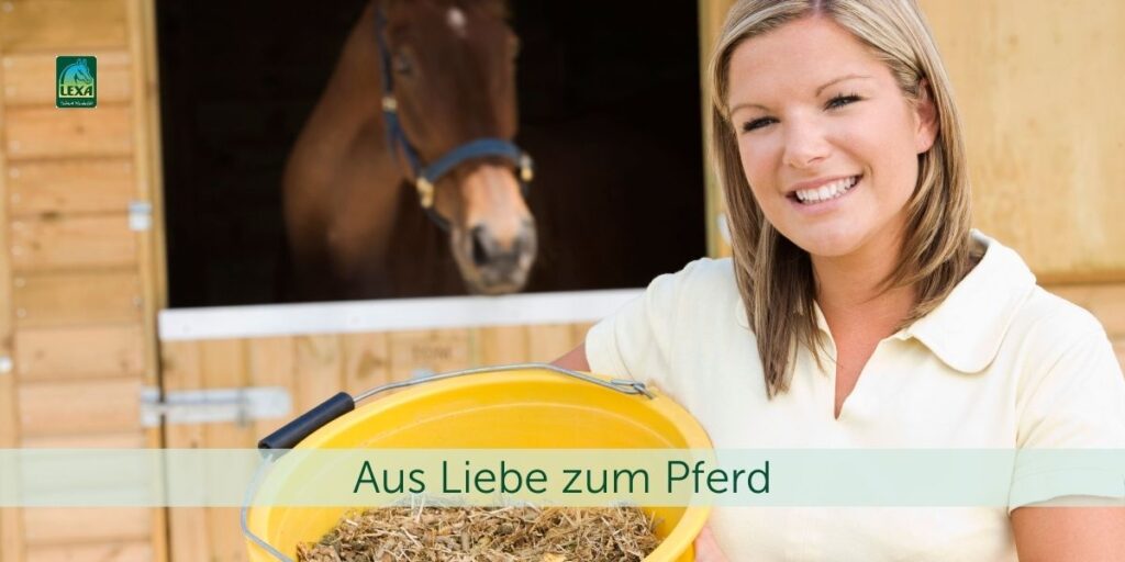 Lexa Aus Liebe zum Pferd Frau mit gelben Eimer im Hintergrund schaut ein braunes Pferd aus seiner Box