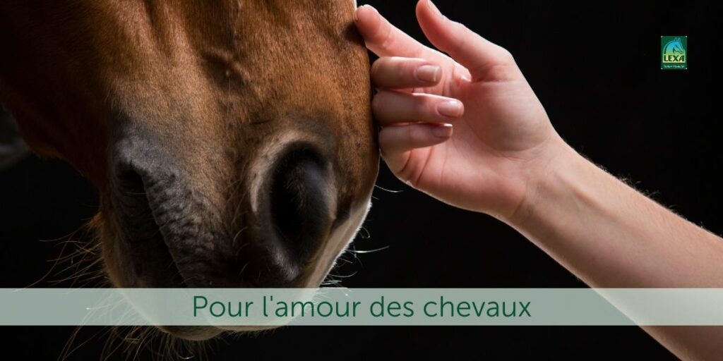 Pour l'amour des chevaux